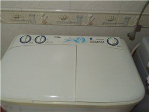 小天鹅双桶洗衣机